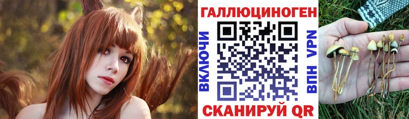 Псилоцибиновые грибы Psilocybine cubensis  Купить закладки  Кумертау 